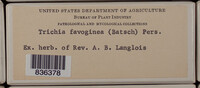 Image Associated With the Occurence